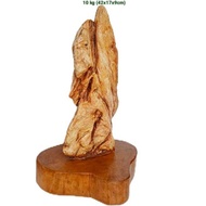 batu hias suiseki fosil kayu Cendana (175)