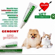 Genoint Gentamicin Salep Mata Obat Mata Kucing Anjing 35g