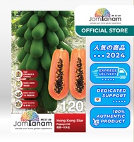 JOM TANAM Papaya Seed/Benih Betik/木瓜种子 Hong Kong Star 120 (10 seeds)