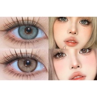 Greece Grey Brown 14.5 (Effect 16mm) Contact Lens 0-600