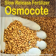 Osmocote Fertilizer Slow / Controlled Release Fertilizer. Various NPK for your needs. Baja pelepasan