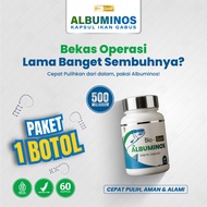 Bio Gold Albuminos - Snakehead Fish Albumin Capsules 500mg Quick Drying for Caesarean Section Wounds