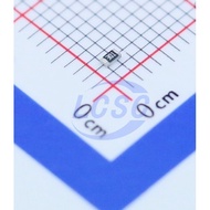LIZ Elec CR0603JA0301G Chip Resistor Surface Mount 300Ohms + 5% 1/10W 0603R(10pieces/lot)