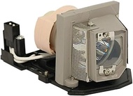 Professional BL-FP190B / SP.8VF01GC01 Compatible Projector Lamp BL-FP190B / SP.8VF01GC01 Bulb with H