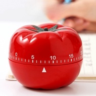 Countdown Timer Cooking Clock, Timer - KOUTS