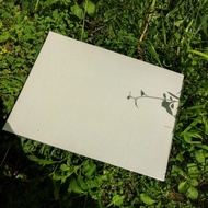 Painting canvas size 50x70 cm large canvas painting canvas 70x50