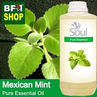 Pure Essential Oil (EO) - Mint - Mexican Mint ( Plectranthus Socotranum ) Essential Oil - 1L