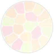 Elegance 極緻定妝蜜粉餅 (貨Size) - # #6 Color