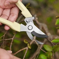 Side strip pruning shears, stainless steel garden handheld pruning shears, professional garden pruni