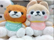 日本直送景品 Amuse 柴犬三兄弟 Sasuke佐助 bb豆柴 XL Mameshiba白柴 狗仔