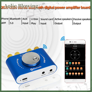 Aolie Nobsound Mini Bluetooth 5.0 HiFi TPA3116 Digital Amplifier Stereo Audio 2.0 Channel Sound Ampl