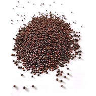 Alfa Cinta Mustard Seed Mustard Seed/ 60g