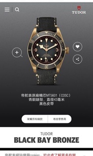 港行 帝舵 TUDOR Black Bay Bronze watch 青銅潛水錶 79250BA 2019 Charcoal Black