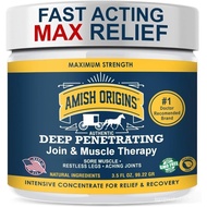 Amish Origins Pain Relief Ointment 3.5 oz Maximum Strength All Natural Discomfort Reliever for Joint