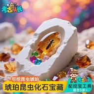 Gem Archaeological Digging Treasure Digging Toy Amber Fossil Children Educational Handmade Girl Trea