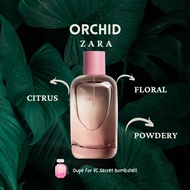 Decant Zara Orchid 3ml Perfume