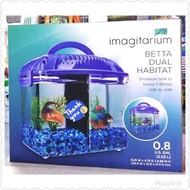 Betta Tank to House 2 Bettas Side by Side (20.9W x 12D x 17.4H cm)