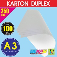 Kertas Karton Duplex / Dupleks Size A3 29.7x42 cm 250 GSM