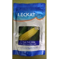 200 GRAM BIJI BENIH JAGUNG SUGAR RICH 592 /Leckat Seeds/F1 Hybrid Bi-color Sweet Corn