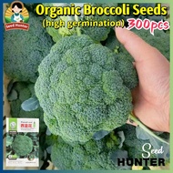 High Yield Broccoli Seeds for Planting Vegetables Plants (300 Seed) Broccoli Microgreens Seeds Organ