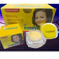 Dozens Of TEMULAWAK BEAUTY WHITENING CREAM POT Glass ORIGINAL