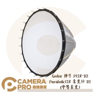 Camera Expert Godox P128-D2 Parabolic128 Soft Gauze D2 Medium Light P128-D1