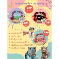 Airtag Collar + Name Tag