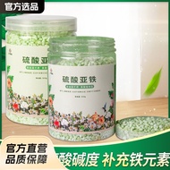 Fertilizer For Fertilizer Sulfate Plant Gardenia Special Iron Fertilizer Adjustable Soil Compound Fe