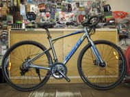 【冠鑫自行車】DIAMOND BLUE RX100 700C 14速 煞變合一 機械碟煞 鋁合金車架 彎把公路車 金屬灰