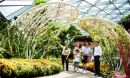 Tour Tham Quan Những Điều Tuyệt Nhất của Sân Bay Jewel Changi