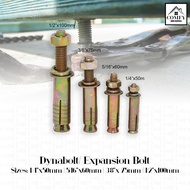 HEAVY DUTY Dynabolt Dyna Bolt Expansion Sleeve Anchor Concrete Bolt 1/4" 5/16" 3/8" 1/2" WXsE