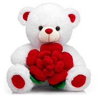 BEJOY Teddy Bear Stuffed Animals Plush Bear Holding Rose Soft Plush Toy Valentine's Day, 16 Inch, Wh