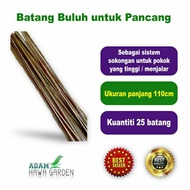 Batang Buluh Untuk Sokongan Pokok Bunga dan Sayuran Pancang Buluh Lada Timun Kacang botol BAMBOO PLA