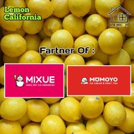 Jeruk Lemon California Lokal Grade A/B 1Kg By HomelemoonId