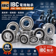 IBC Bearing Motor Motor Pump Bearing 6307 6308 6309 6310