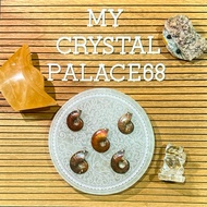 Rainbow Ammonite Pendant Fossil Crystal