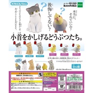 In Stock Japanese Version Epoch Cat and Parrot Confused Expression Dazed and confused Mini Figure Ca