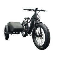 ☑E bike Side Car Adult electric tricycle bicycle 3 wheel ebike  cargo trike 750w hidden lithium X✍
