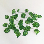 Az Daun Rambat Plastik Dekorasi Dinding Artificial Bunga Lamaran Ivy - Daun Semangka