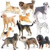 Cute Golden Retriever Collie Doberman Schnauzer Husky Shiba inu Bulldog Animal Model Action Figures 