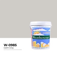 mowilex weathercoat 20 liter Calm grey
