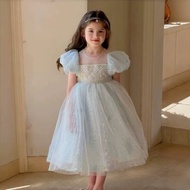 Elsa Princess Dress Girls Summer Dress Elsa Long Dress Frozen Dress Elsa Children's Birthday Clothes