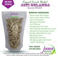 Daun jati belanda kapsul herbal daun jati belanda kapsul curah herbal daun jati belanda