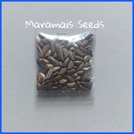 ✤ ✌ ◺ Maramais Seeds Per Pack