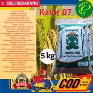 ready Bibit Padi Genjah Kabir 07 5 Kg