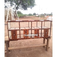 Dongdang Burung Merpati pintu 8 Jeruji Fiber