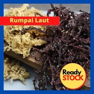 Cik Seafood Pure Seaweed Rumpai Laut Sabah/ Kolagen Asli /Rumpai Ungu & Putih, Produk Sabah BOSSKU