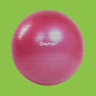Gym ball 75 cm