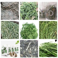 Mr Hay alfalfa grass, timothy, oats, barley, wheat, alfalfa leaves, whole alfalfa grass, Hay for Rab