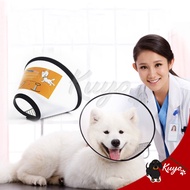 ELIZABETH Dog Collar Neck Protection Cone Protection FunnelElizabeth Cat Pet Dog Cat Protection Funn